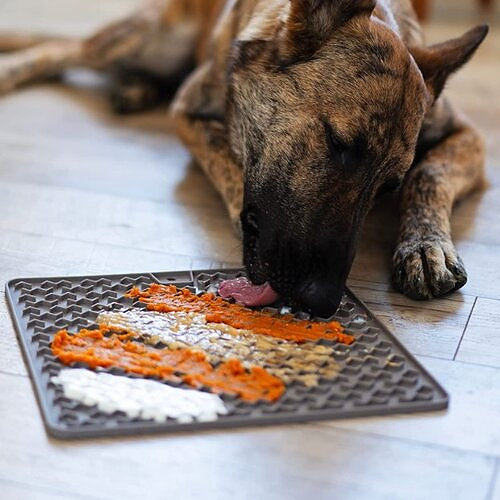 The Calm Dog Starter Kit