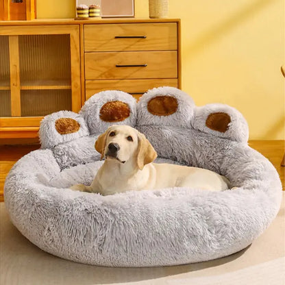 The Calm Dog Starter Kit